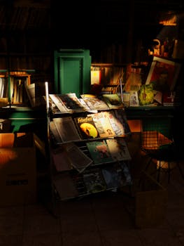 Sunlit bookstore interior with diverse magazines and books on display.